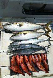 さぶろう丸 釣果