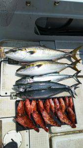 さぶろう丸 釣果