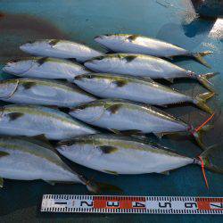 アジアマリンサービス 釣果