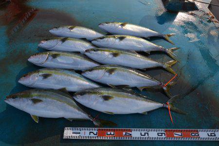 アジアマリンサービス 釣果