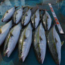 アジアマリンサービス 釣果