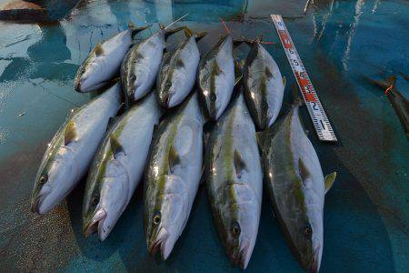 アジアマリンサービス 釣果