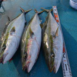 アジアマリンサービス 釣果