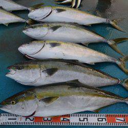 アジアマリンサービス 釣果