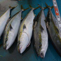 アジアマリンサービス 釣果