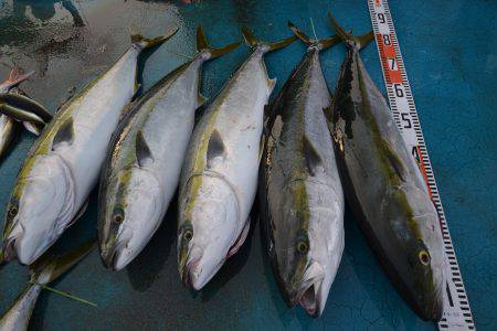 アジアマリンサービス 釣果