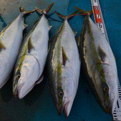 アジアマリンサービス 釣果