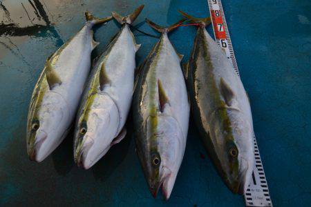 アジアマリンサービス 釣果