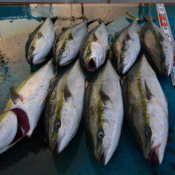 アジアマリンサービス 釣果