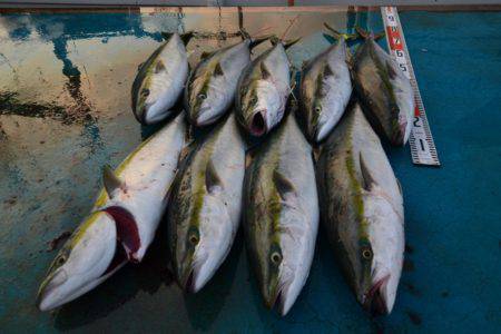 アジアマリンサービス 釣果