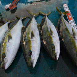 アジアマリンサービス 釣果