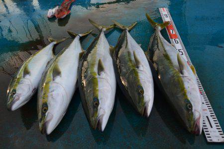 アジアマリンサービス 釣果