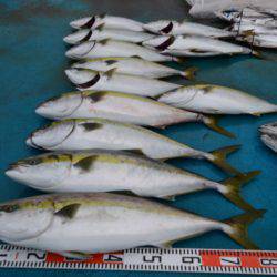 アジアマリンサービス 釣果