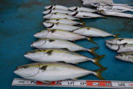 アジアマリンサービス 釣果