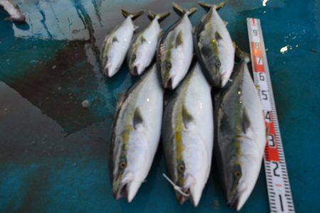 アジアマリンサービス 釣果