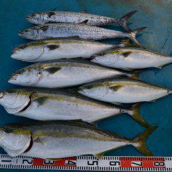 アジアマリンサービス 釣果