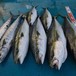 アジアマリンサービス 釣果