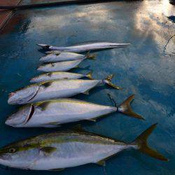 アジアマリンサービス 釣果