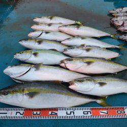 アジアマリンサービス 釣果