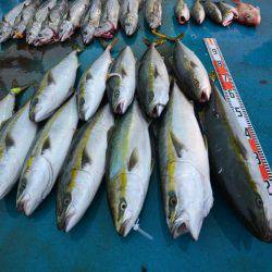 アジアマリンサービス 釣果