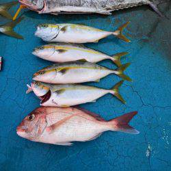 アジアマリンサービス 釣果