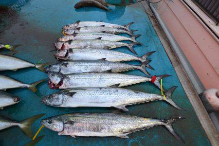 アジアマリンサービス 釣果