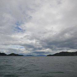 アジアマリンサービス 釣果