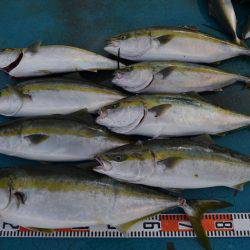 アジアマリンサービス 釣果