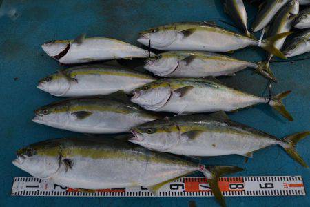 アジアマリンサービス 釣果