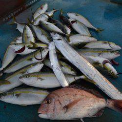 アジアマリンサービス 釣果
