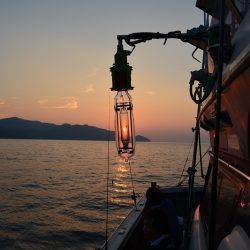 ハピネスⅡ 釣果