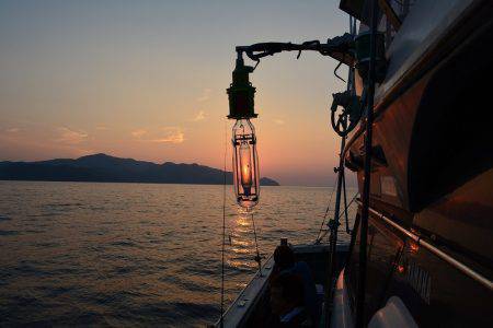 ハピネスⅡ 釣果