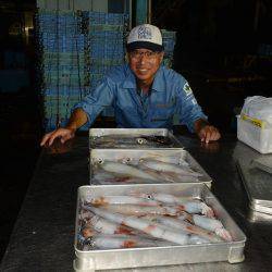 ハピネスⅡ 釣果