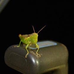 ハピネスⅡ 釣果