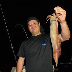 ハピネスⅡ 釣果