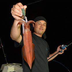 ハピネスⅡ 釣果