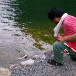 フィッシングエリア帝釈 釣果