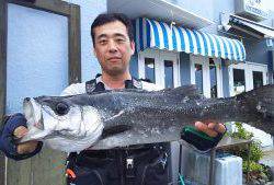 伊豆下田フィッシング 釣果