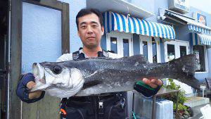 伊豆下田フィッシング 釣果