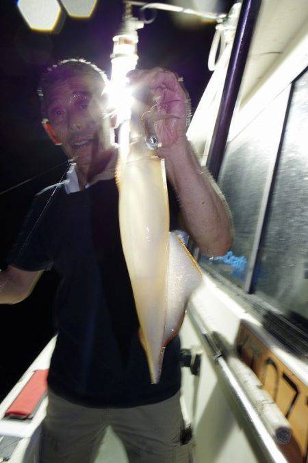 ハピネスⅡ 釣果