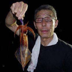 ハピネスⅡ 釣果