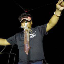 ハピネスⅡ 釣果