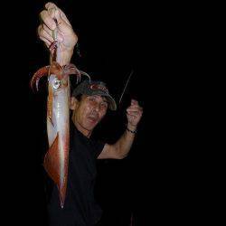 ハピネスⅡ 釣果