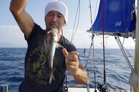 ハピネスⅡ 釣果