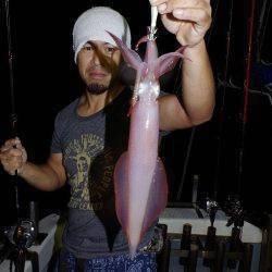 ハピネスⅡ 釣果