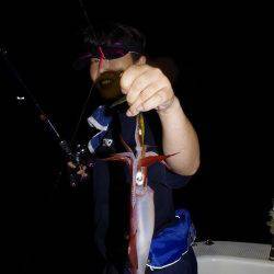 ハピネスⅡ 釣果