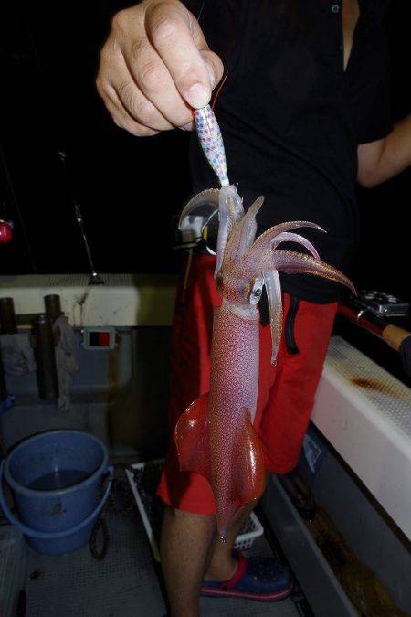 ハピネスⅡ 釣果