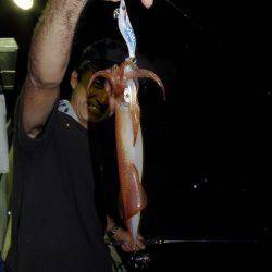 ハピネスⅡ 釣果