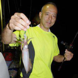 ハピネスⅡ 釣果