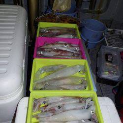 ハピネスⅡ 釣果